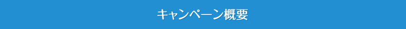 キャンペーン概要